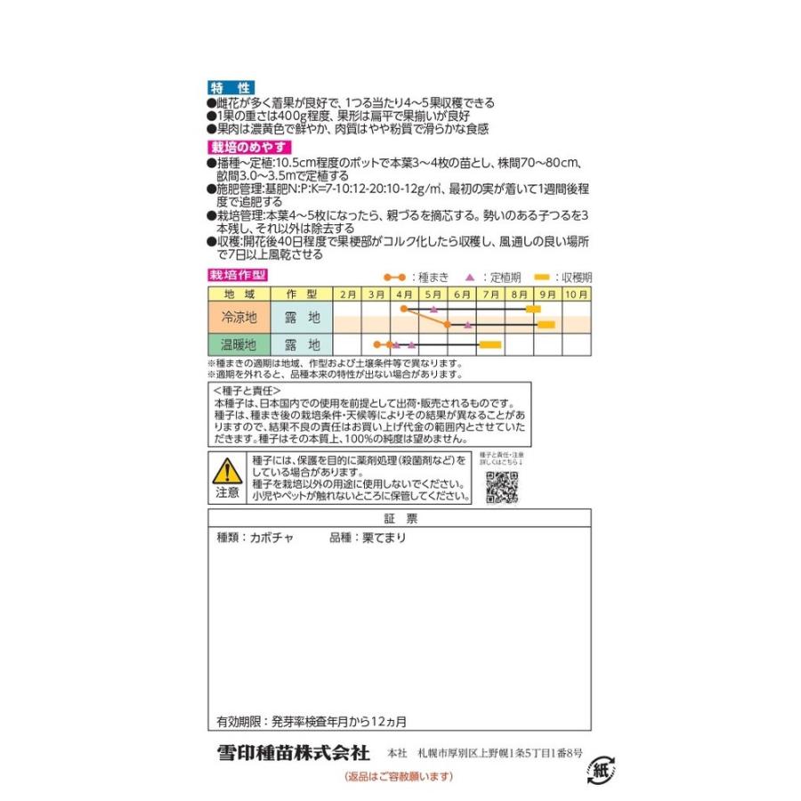 雪印種苗「ミニカボチャ 栗てまり」のタネ [内容量:8ml] : 日光種苗