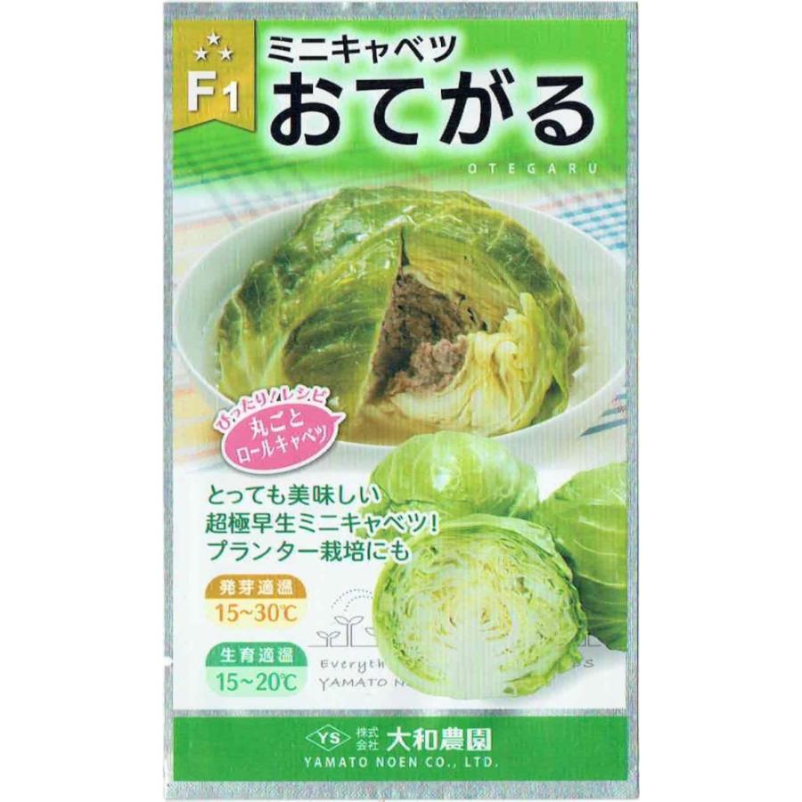 126円 ビッグ割引 キャベツ タネ F1やわらかキャベツ 1袋 3ml 種 野菜たね Ytc16