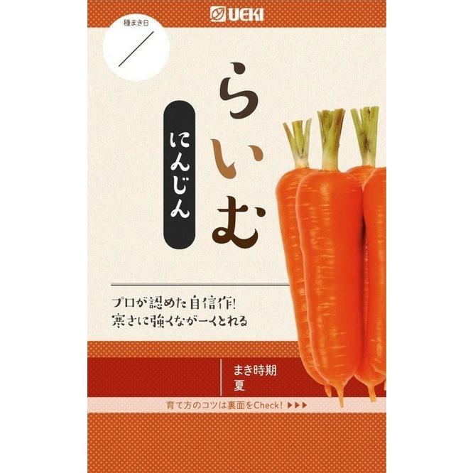 横浜植木 ニンジン らいむ コート種子約200粒【郵送対応】 : 日光種苗