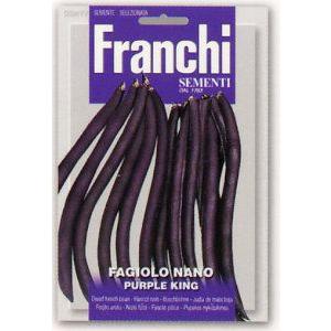 FRANCHI社種子】【59/77】ツルなしインゲン・PURPLE KING : 日光種苗