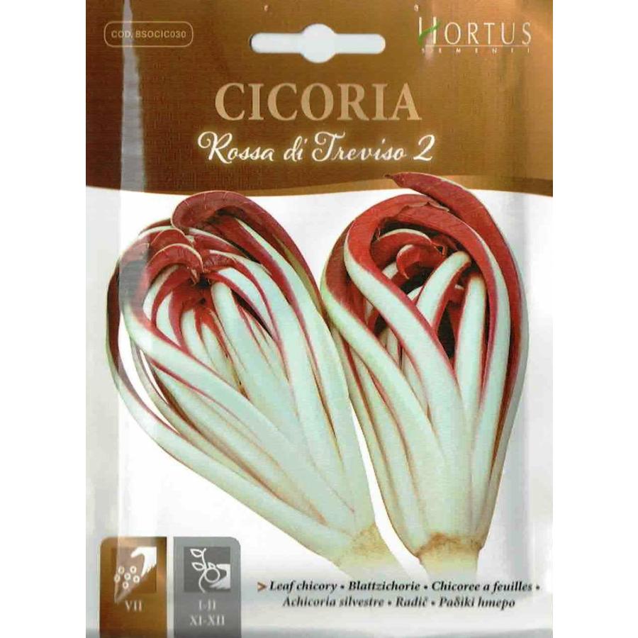 HORTUS社】リーフチコリー Rossa di Treviso2 10g [1891][COD