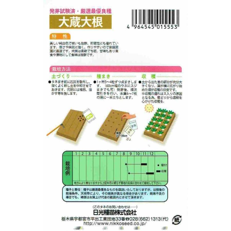 大蔵大根 約11ml|nikkoseed2012|02