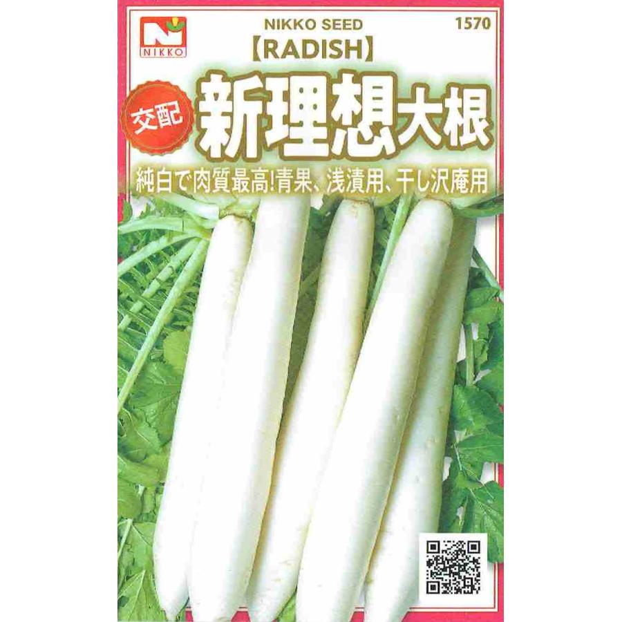 日光種苗 ダイコン 交配 新理想大根のタネ [内容量：9ml]【1570】【秋】 : 日光種苗ヤフー店 - 通販 - Yahoo!ショッピング