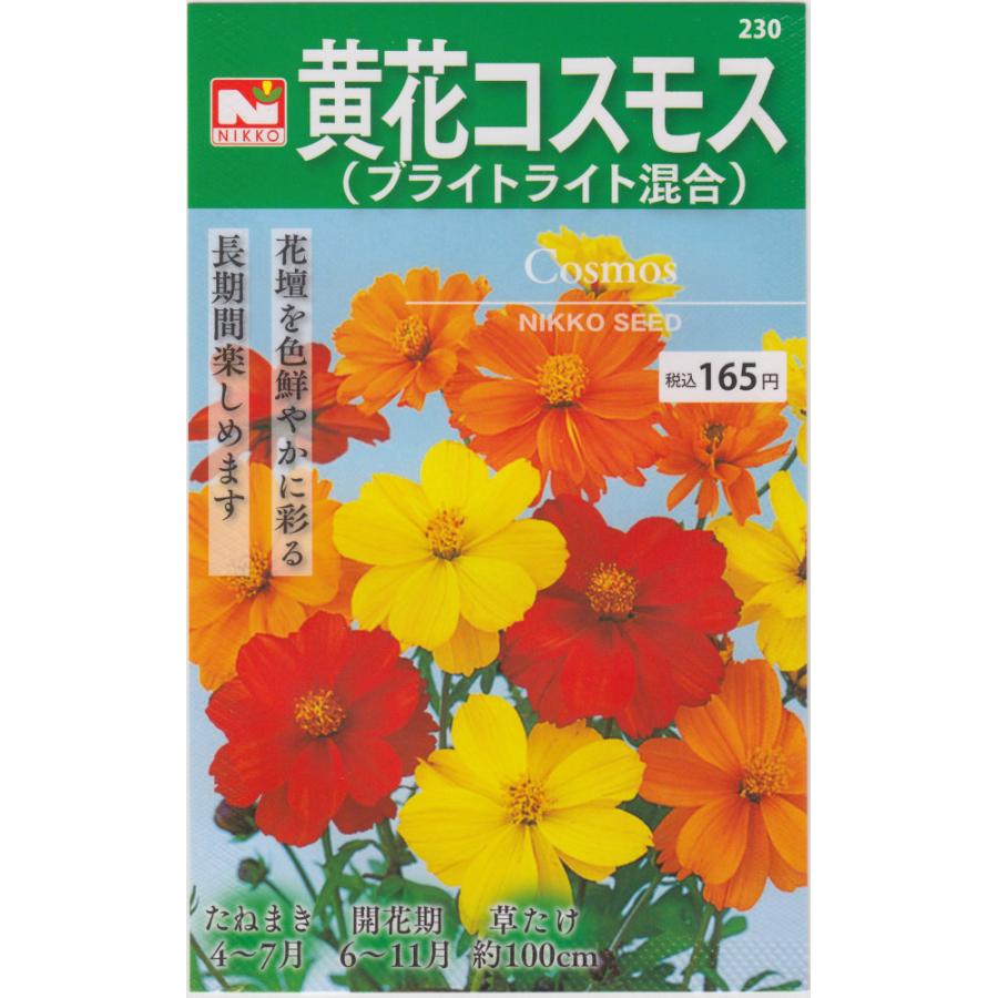 日光種苗　黄花コスモス（ブライトライト混合）のタネ［内容量:1L］【春】