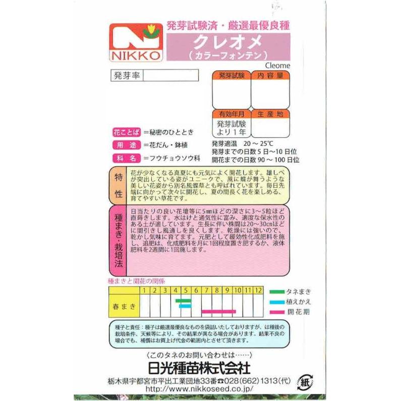 日光種苗 クレオメのタネ（カラーフォンテン）［内容量:1L］【春】の画像