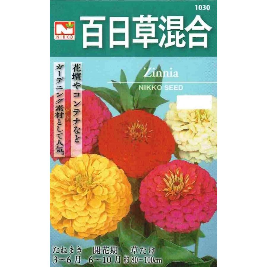 M43TNHV047C