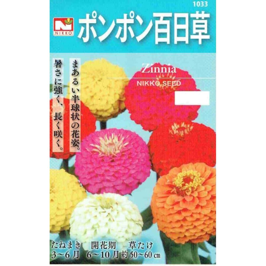 日光種苗　ポンポン百日草［内容量:1L］【春】