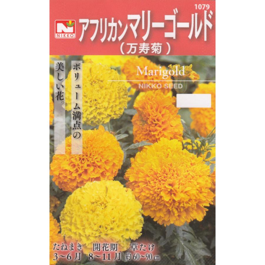 訳あり品送料無料 日光種苗 アフリカンマリーゴールド 万寿菊 のタネ 内容量 3ml