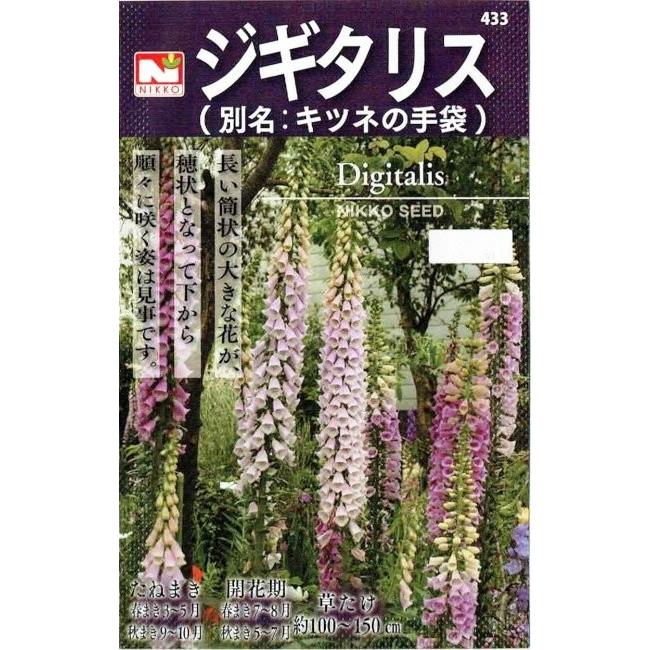 日光種苗　ジギタリスのタネ［内容量:0.2ml］｜nikkoseed2012