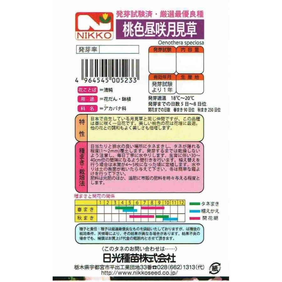 日光種苗 桃色昼咲月見草のタネ［内容量:100ml］の画像