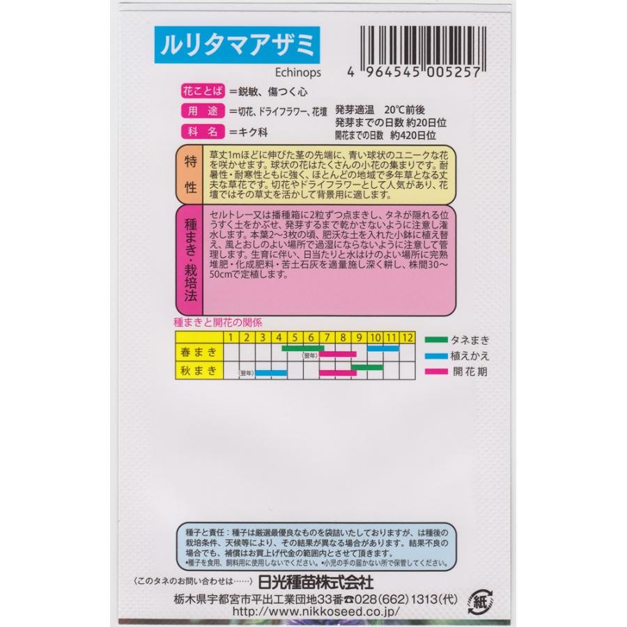 日光種苗 ルリタマアザミのタネ［内容量:100ml］の画像