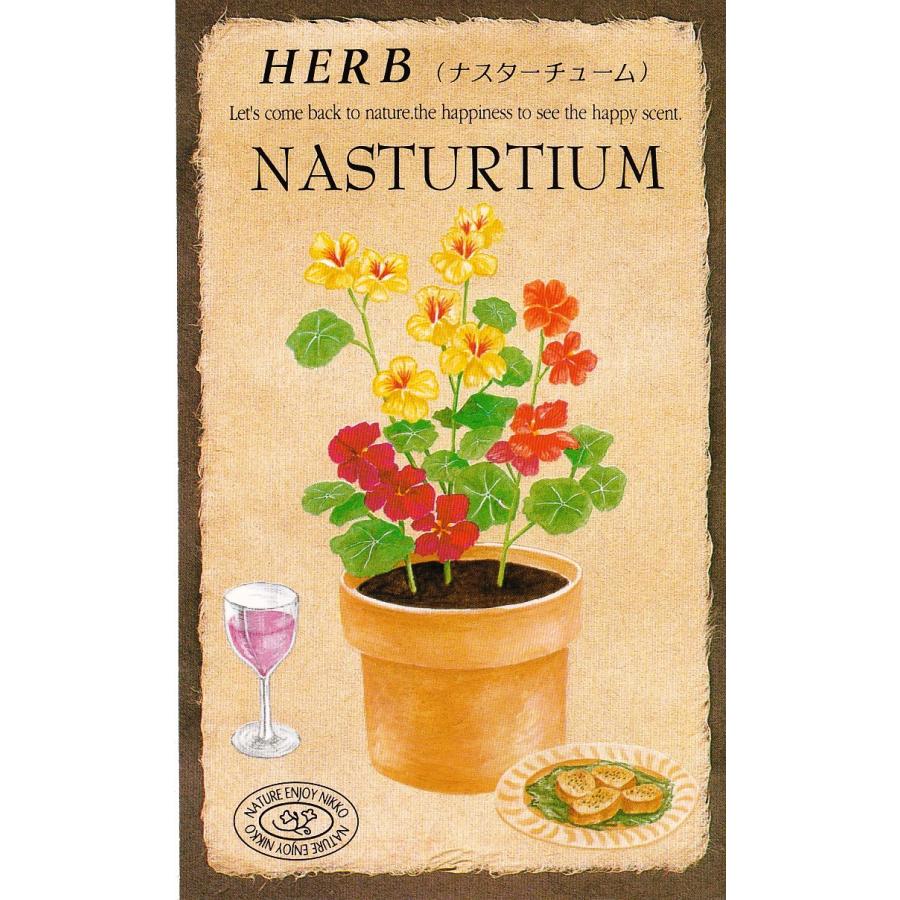 特価商品 ナスタチューム 金蓮花