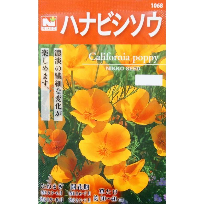 日光種苗 ハナビシソウのタネ［内容量:10ml］（花菱草、はなびしそう