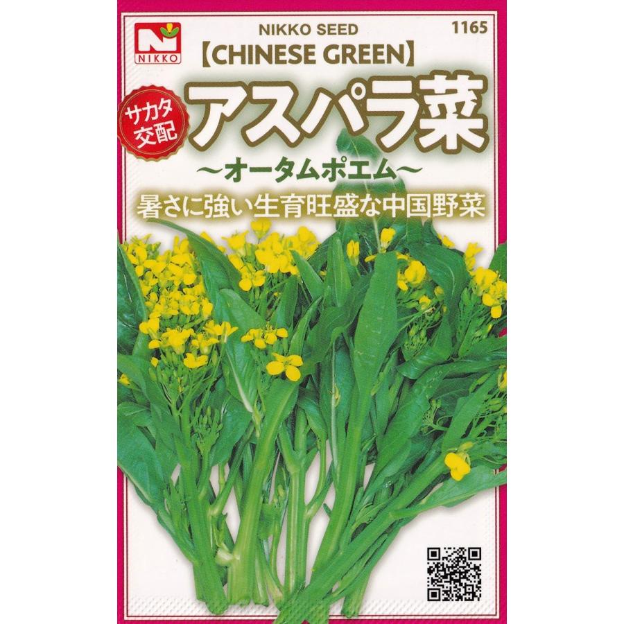 アスパラ菜 約1 5ml 1165 品種名 オータム ポエム Szn 日光種苗ヤフー店 通販 Yahoo ショッピング