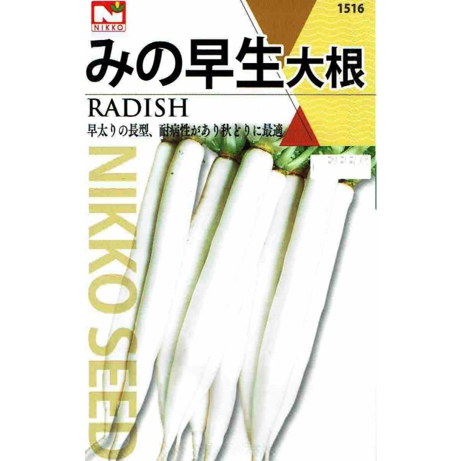 日光種苗　ダイコン　みの早生大根　10ｍL｜nikkoseed2012