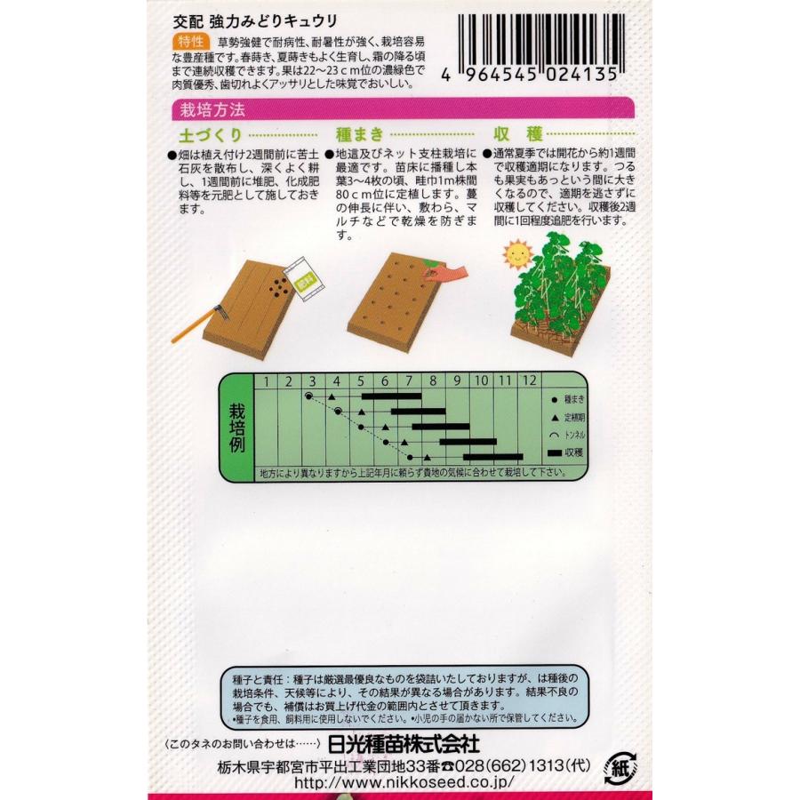 日光種苗 交配 強力みどりきゅうりのタネ [内容量：1ml]【2413】（胡瓜