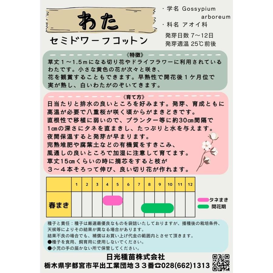 日光種苗 綿（わた） 「セミドワーフコットン」のタネ[内容量：100ml]の画像