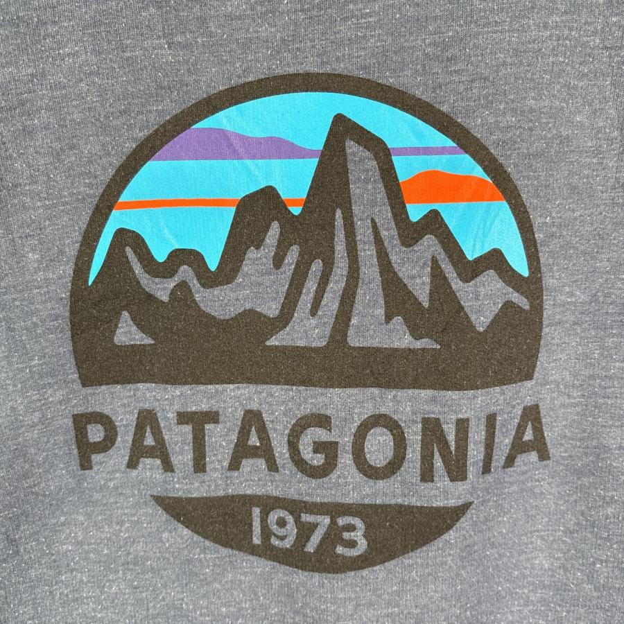 patagonia（パタゴニア） 古着 スウェット スウェット ビッグロゴ