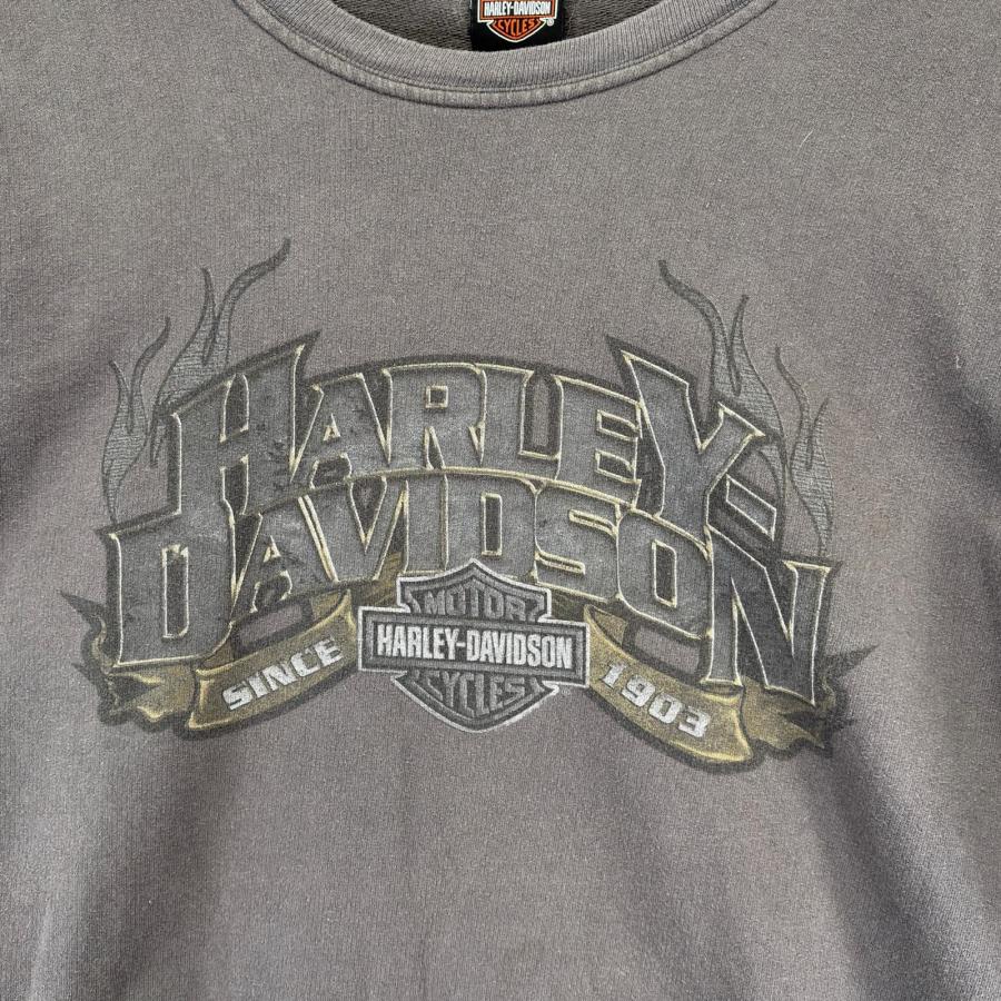古着 ハーレーダビッドソン HARLEY DAVIDSON USA製 長袖Tシャツ 大きい
