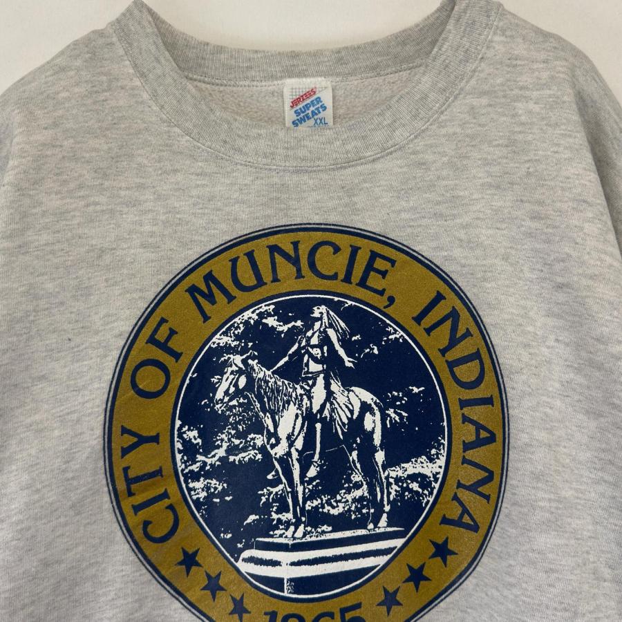 時間限定半額 90s usa製 BRONZE AGE スウェット グレー 403 古着 90's/90年代 ジャージーズ Jerzees USA製 スウェット クルー