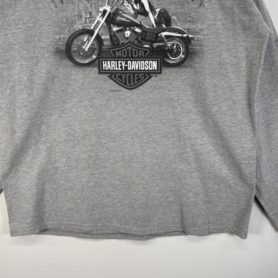 古着 ハーレーダビッドソン HARLEY DAVIDSON 長袖Tシャツ 袖 正面