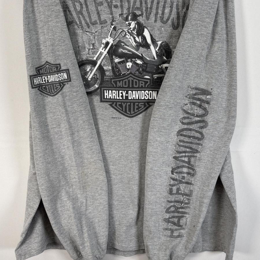 古着 ハーレーダビッドソン HARLEY DAVIDSON 長袖Tシャツ 袖 正面