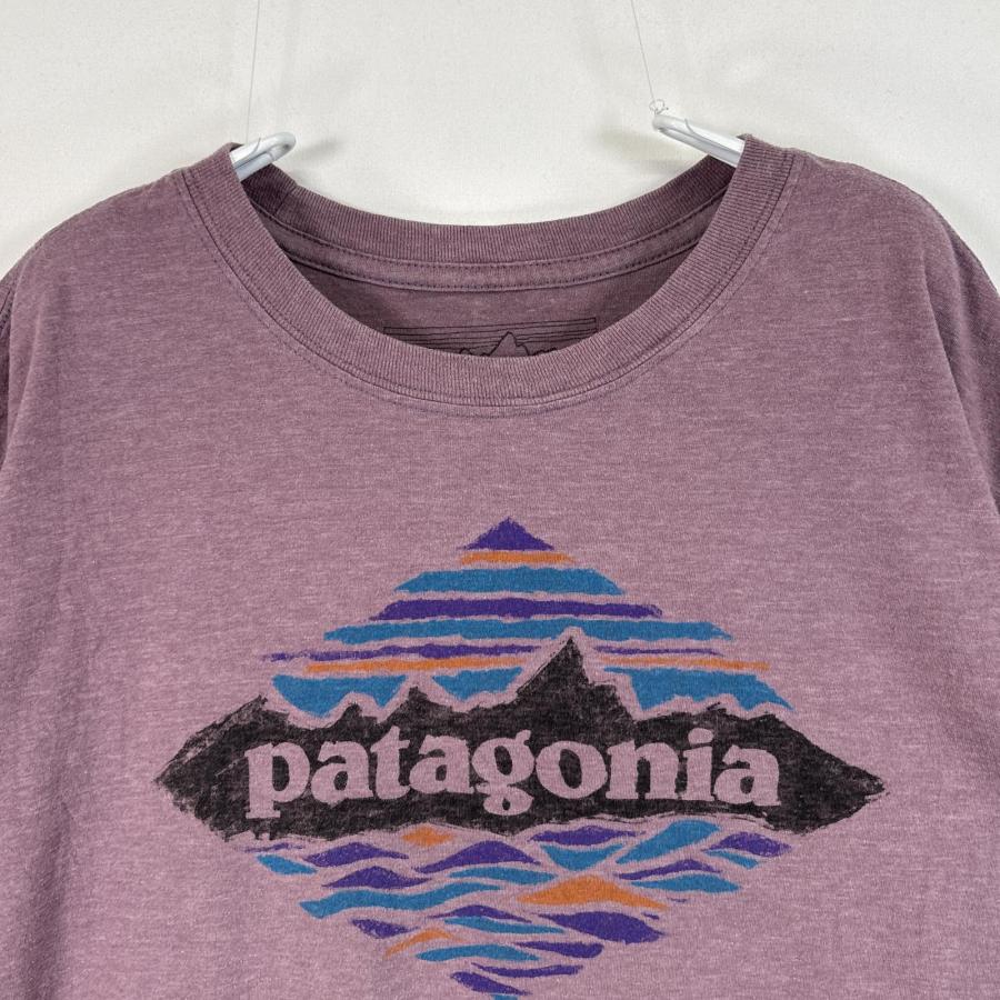 patagonia（パタゴニア） 古着 半袖Tシャツ プリント アウトドア
