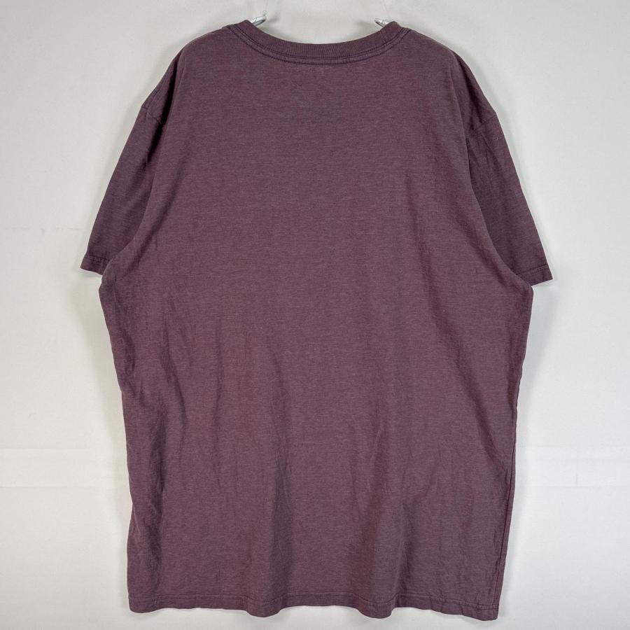 patagonia（パタゴニア） 古着 半袖Tシャツ プリント アウトドア