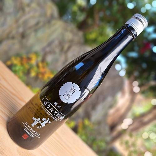 宮の雪（MIYANOYUKI） 純米 しぼりたて原酒 生原酒 新酒 季節限定酒