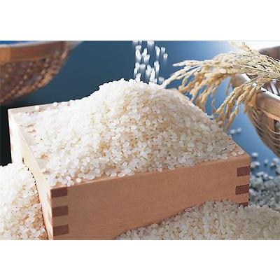 つきたて！杵つき棒のし餅【うるう餅】(こがね、ぼろ餅)500g☆12月27日