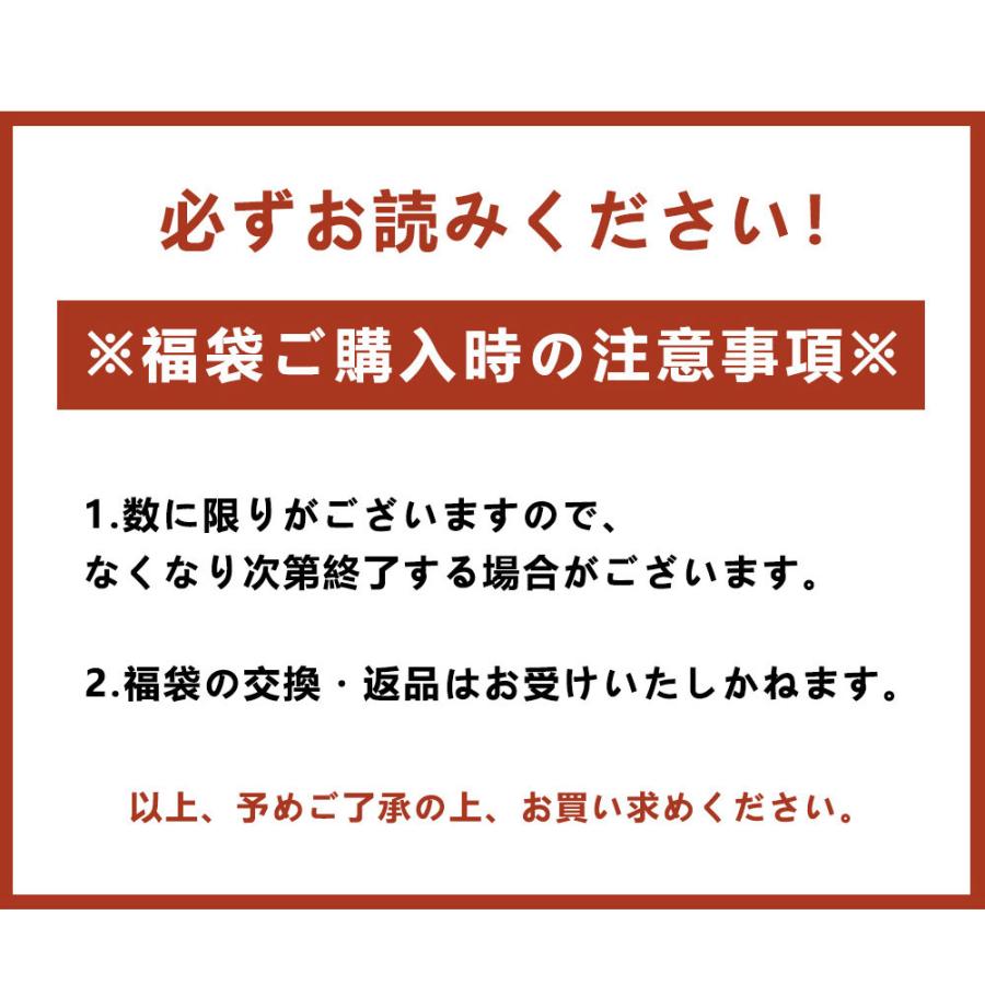 【先着100点限定】新年感謝マスク福袋 最大264枚入り 3層立体不織布マスク バイカラー 3dマスク 4Dマスク 5Dマスク 丸顔 面長 シシベラマスク くちばし型｜nikonikoya2020｜18