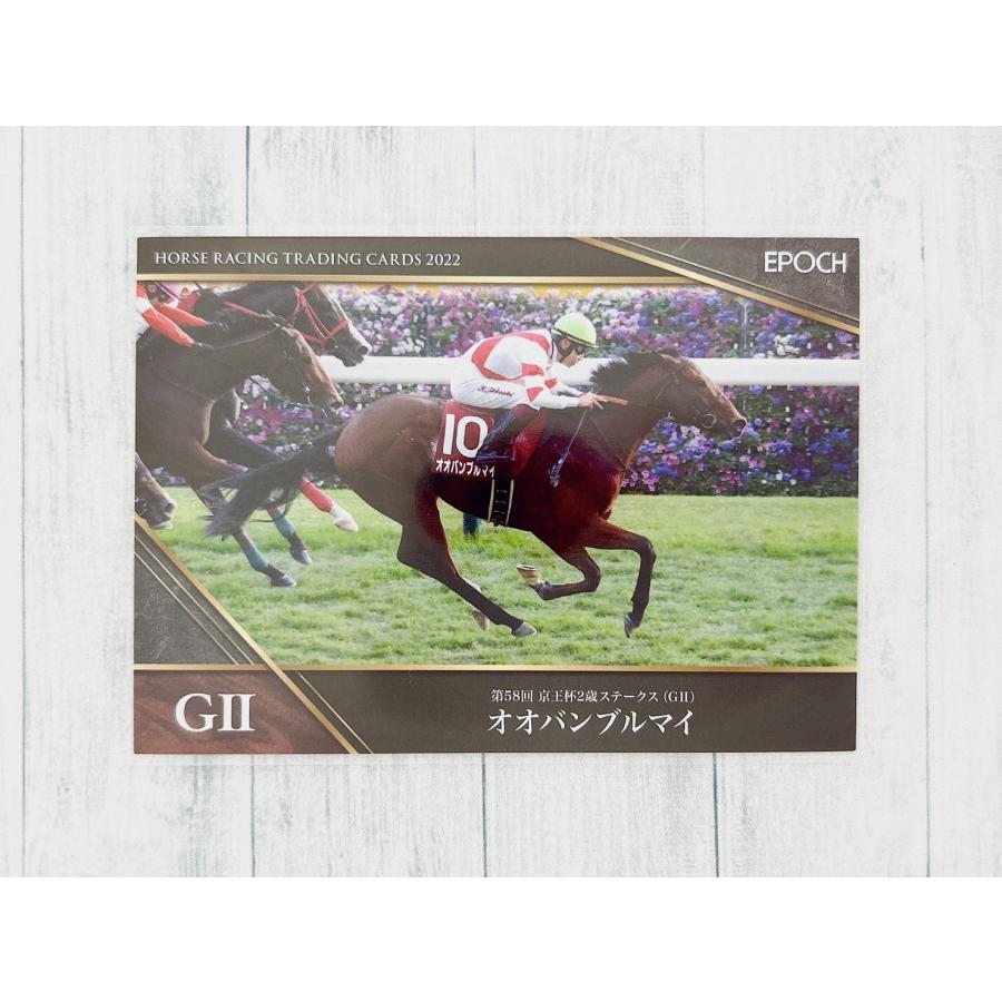 EPOCH 2023 ホースレーシング トレーディングカード 2022下半期総集編 レギュラーカード 90 オオバンブルマイ ☆ ep