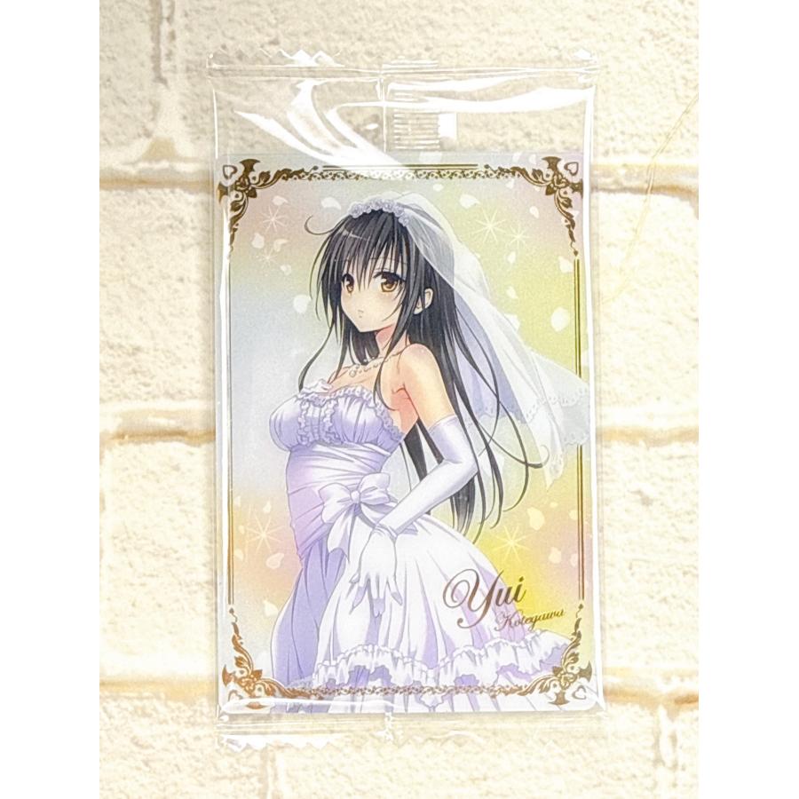 ☆ To LOVEる -とらぶる- ダークネス ウエハース化計画 R レア 24