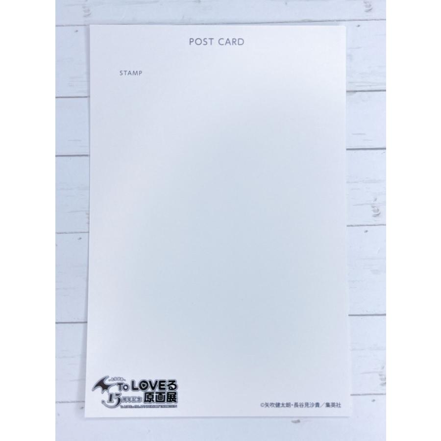 宅配便配送 To LOVEる 15周年記念原画展 クリアファイル モノクロVer