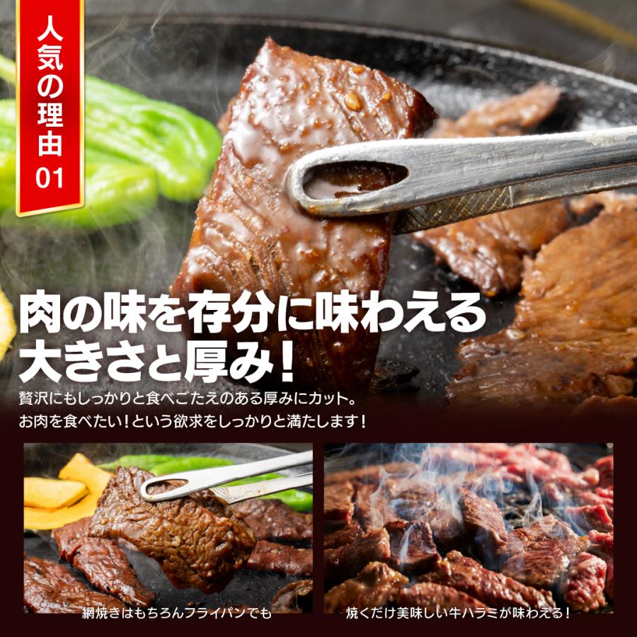 肉 焼肉 牛ハラミ 1kg 500g×２ 秘伝タレ漬け 食品 訳あり 冷凍 牛肉 焼き肉 バーベキュー 食材 お肉 爆買 | ブランド登録なし | 05