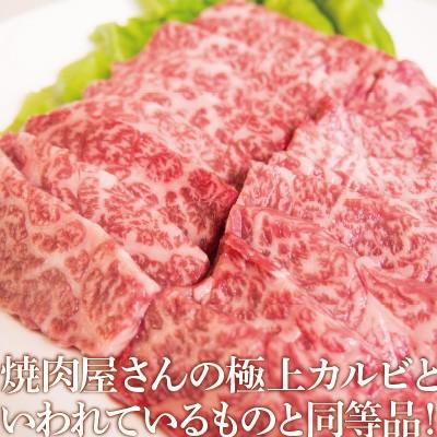国産 厳選カルビ 400g 約2-3人前 食品 冷凍 肉 牛肉 焼肉 焼き肉 バーベキュー bbq | ブランド登録なし | 02