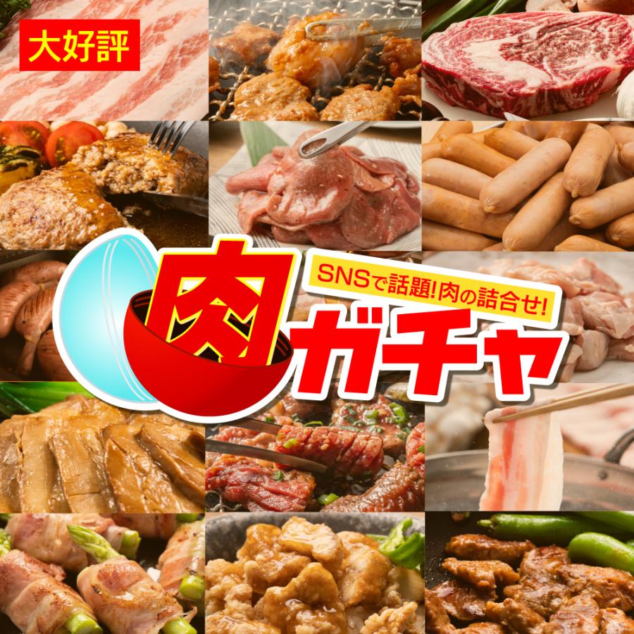 福袋 食品【3000円コース】肉ガチャ 肉福袋 冷凍 肉 精肉 加工品 詰め合わせ グルメ 福袋2025 爆買 の商品画像