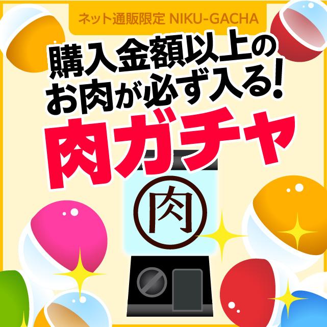 【3000円コース】肉ガチャ 肉福袋 食品 冷凍 肉 精肉 加工品 福袋 詰め合わせ｜niku-donya｜02