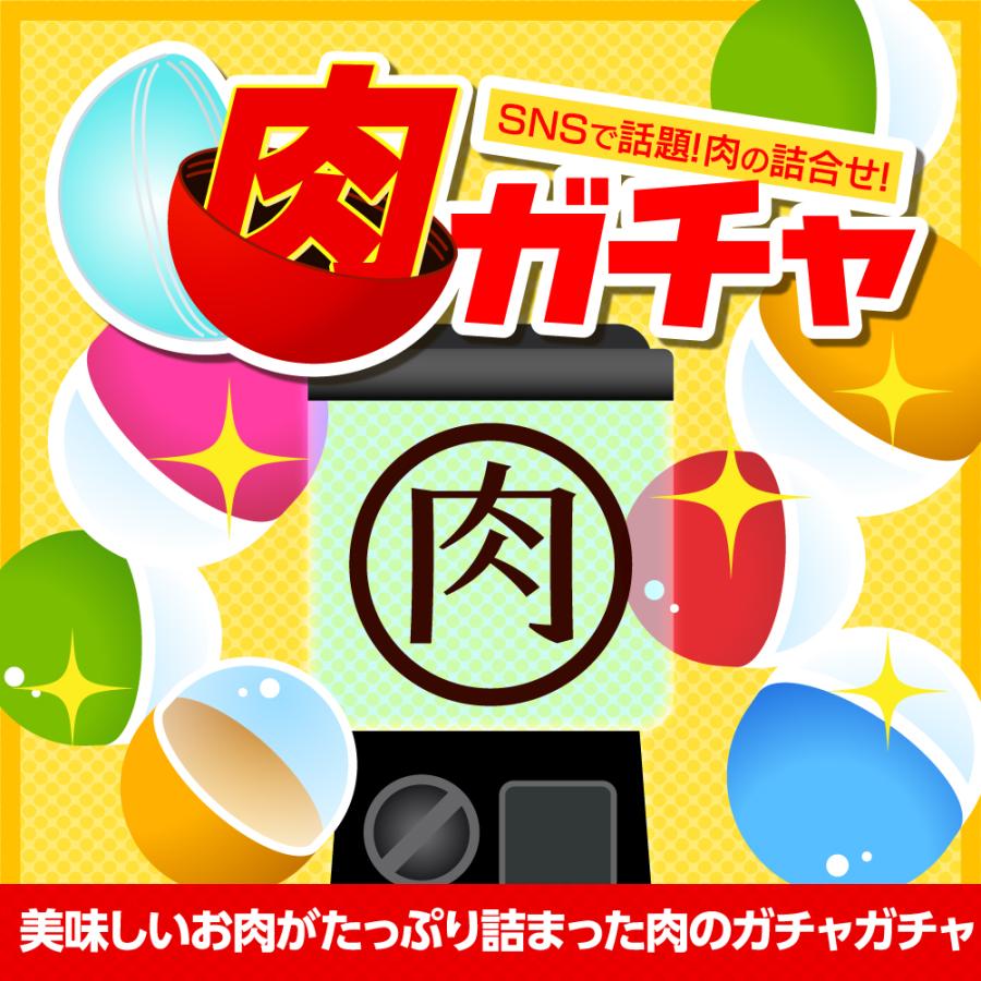 福袋 食品【3000円コース】肉ガチャ 肉福袋 冷凍 肉 精肉 加工品 詰め合わせ グルメ 2025 2026 爆買 | ブランド登録なし | 01