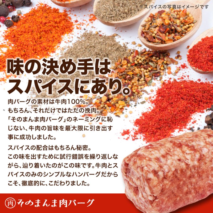 牛肉100% そのまんま肉バーグ 180g×2 静岡 ハンバーグ 冷凍 食品 お