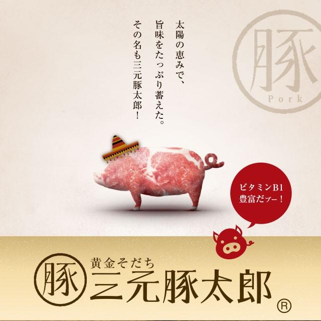 焼肉 豚肉 三元豚太郎 塩ダレ豚ハラミ1kg（500g×2）約4-6人前 食品 豚肉 冷凍 焼き肉 BBQ バーベキュー｜niku-donya｜05