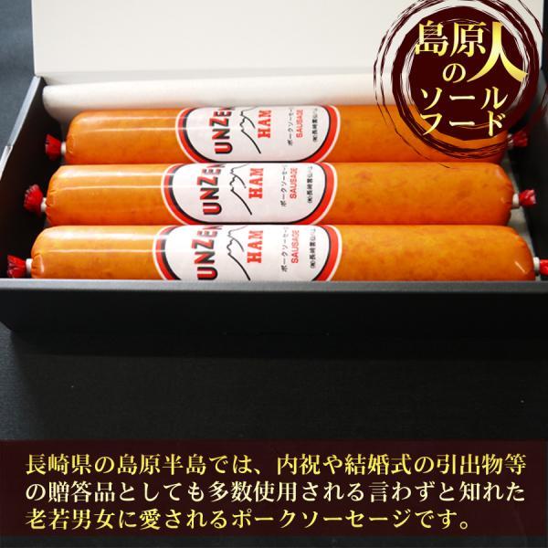 雲仙ハムギフト(1本300g 3本入)【送料別】 長崎 BBQ 焼肉 ソールフード 引出物 御祝い返し |  | 01