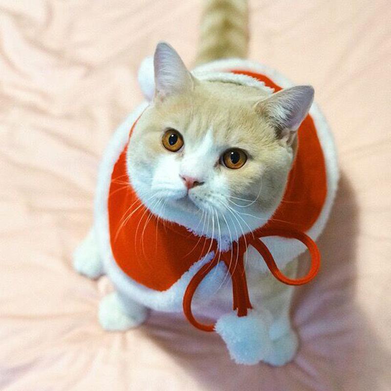 猫の服 クリスマス サンタクロース マント 犬猫兼用｜nikukyu-machi｜02
