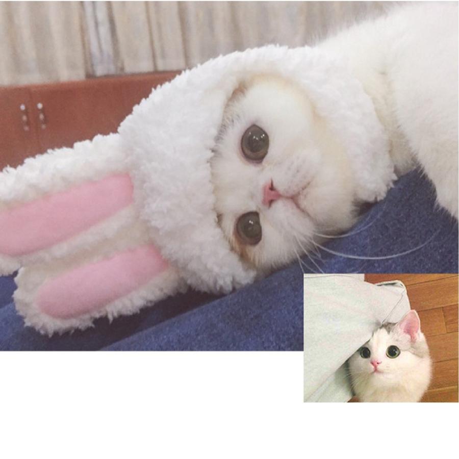 ペット帽子 犬用 ウサギ型 猫 かぶりもの コスチューム かわいい 猫 大変身 着脱簡単 マジックテープ付き コスプレ 猫おもちゃ｜nikukyu-machi｜02