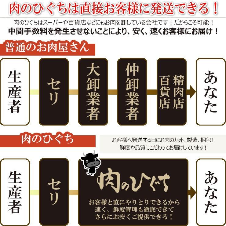 肉 送料無料 福袋 牛肉 バーベキューセット 2.1kg 飛騨牛 国産豚肉 明宝フランク ホルモン  バーベキュー  約6〜8人前 焼肉 BBQ｜nikunohiguchi-yafuu｜14