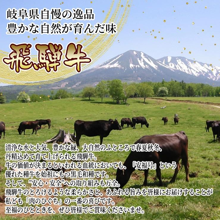 肉 牛肉 焼肉 ステーキ 飛騨牛 もも肉 100g×1枚 ソース付き 和牛 焼き肉 黒毛和牛 お家焼肉 赤身 お取り寄せ グルメ　御祝 爆買 | 飛騨牛 | 03