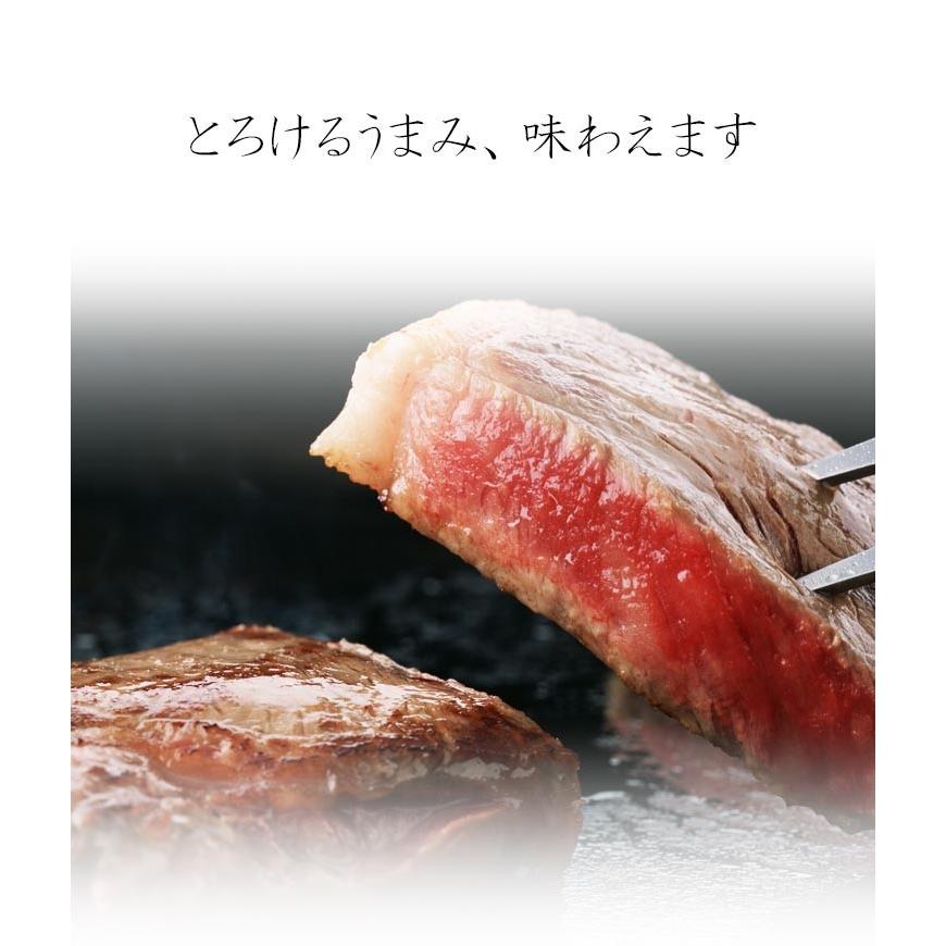 肉 牛肉 ステーキ 飛騨牛 サーロイン 180g位 お祝 黒毛和牛 お取り寄せグルメ おもてなし お祝 御祝 お礼 御礼 記念日 焼肉 爆買 | 飛騨牛 | 01