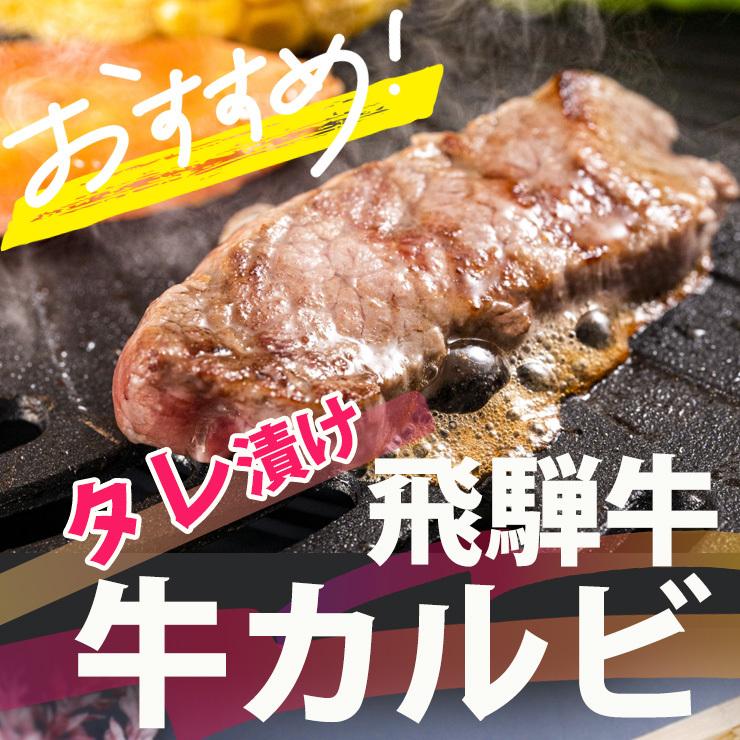 肉 焼肉 牛肉 バーベキュー食材 飛騨牛 カルビ 味付 500g(250g×2パック) BBQ bbq お肉 焼き肉  黒毛和牛 焼肉 自家需要 味付き | 飛騨牛 | 01