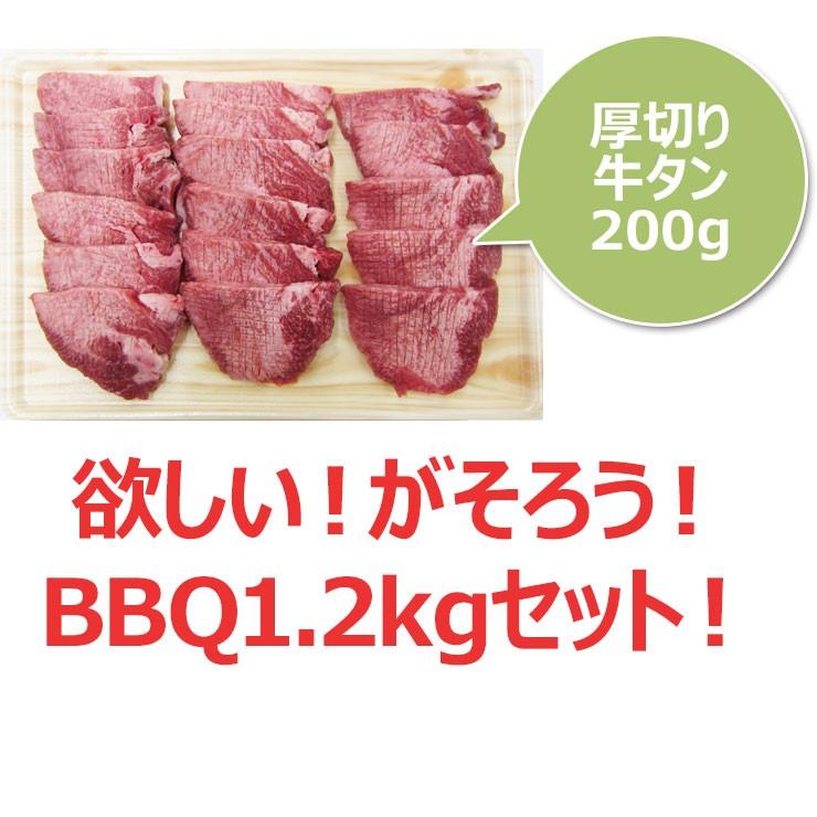 肉 福袋 牛肉 バーベキューセット 1.2kg 飛騨牛 国産豚肉 牛タン 約4〜5人前  バーベキュー約4〜5人前 焼肉 BBQ　ブランド牛｜nikunohiguchi-yafuu｜03