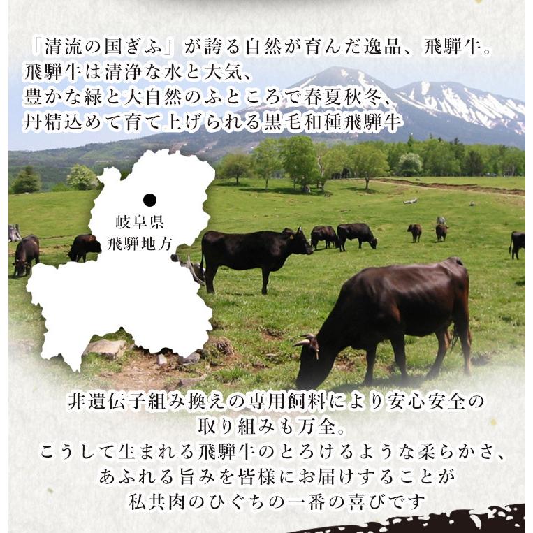 肉 牛肉 和牛 焼肉  飛騨牛 肩ロース 焼肉用 400g おうち焼き肉 バーベキュー クラシタロース 黒毛和牛 お取り寄せ 自家需要 爆買 爆買 | 飛騨牛 | 04